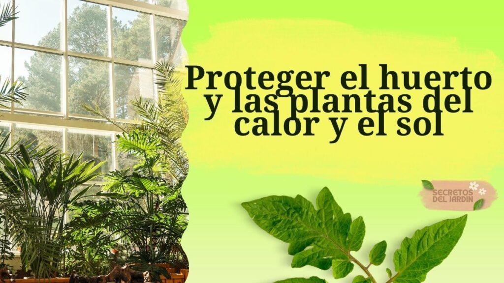 Proteger El Huerto Y Las Plantas Del Calor Y El Sol Academia Gratuita