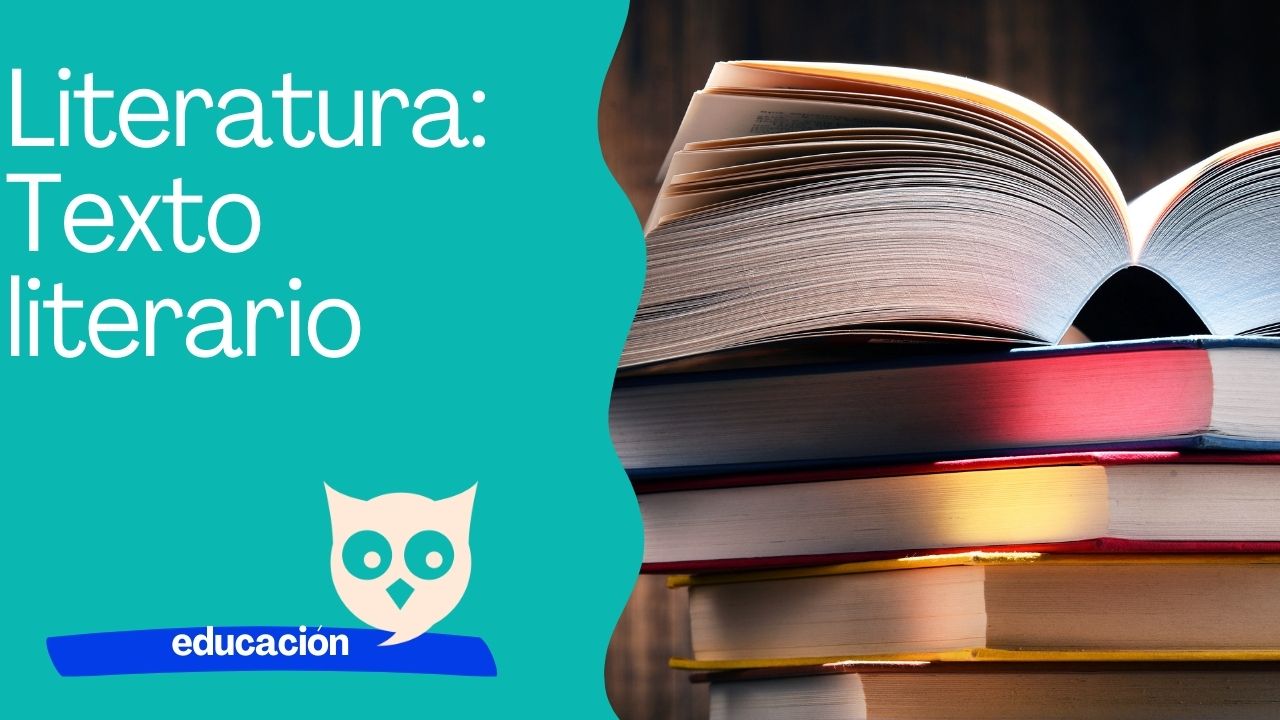 Literatura texto literario