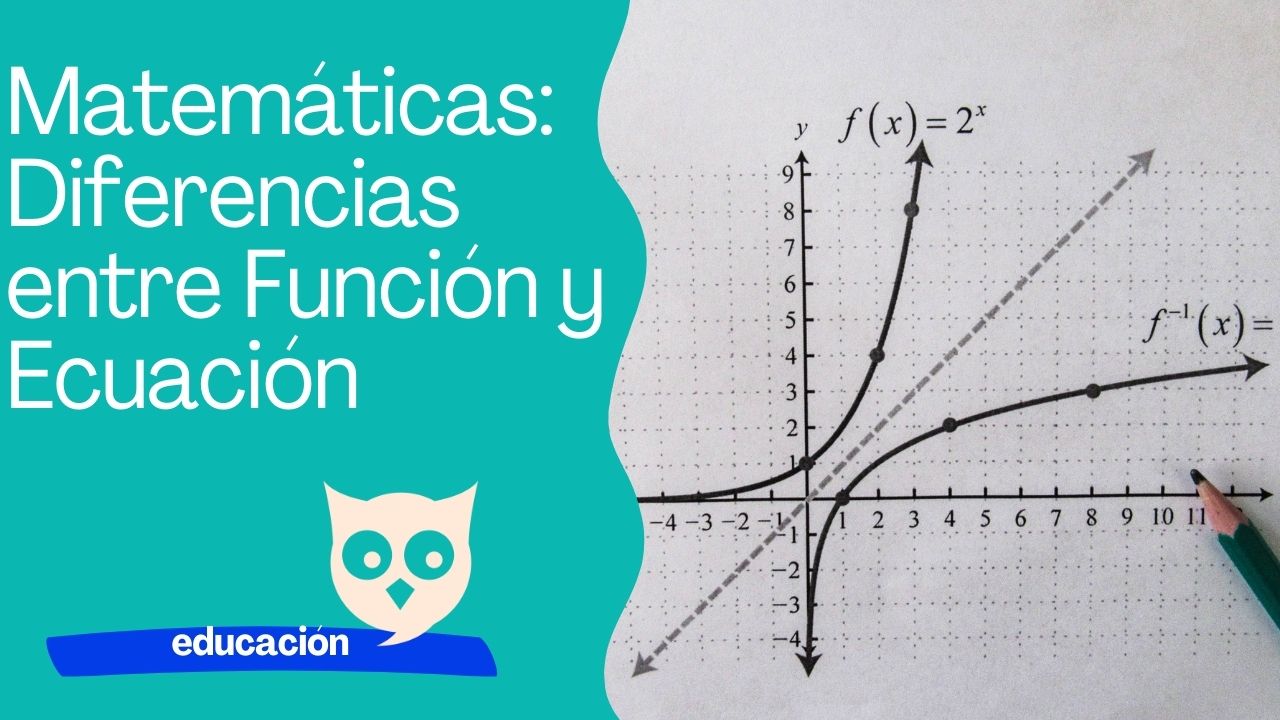 Matemáticas Diferencias entre función y ecuación