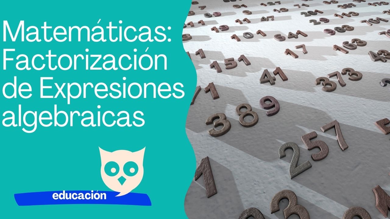 Expresión algebraica Factorización