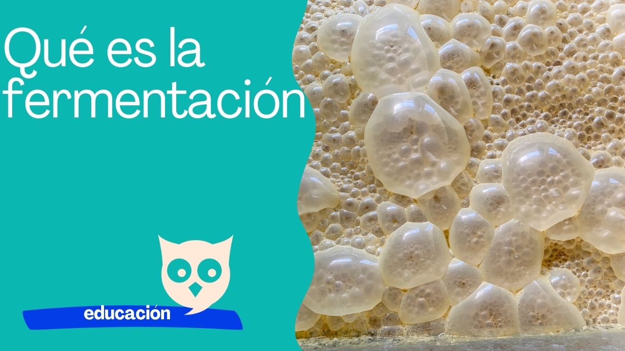 Qué es la fermentación