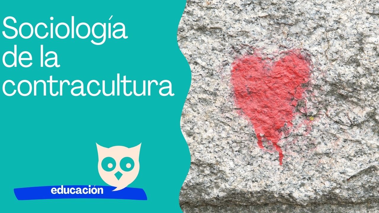 Sociología de la contracultura