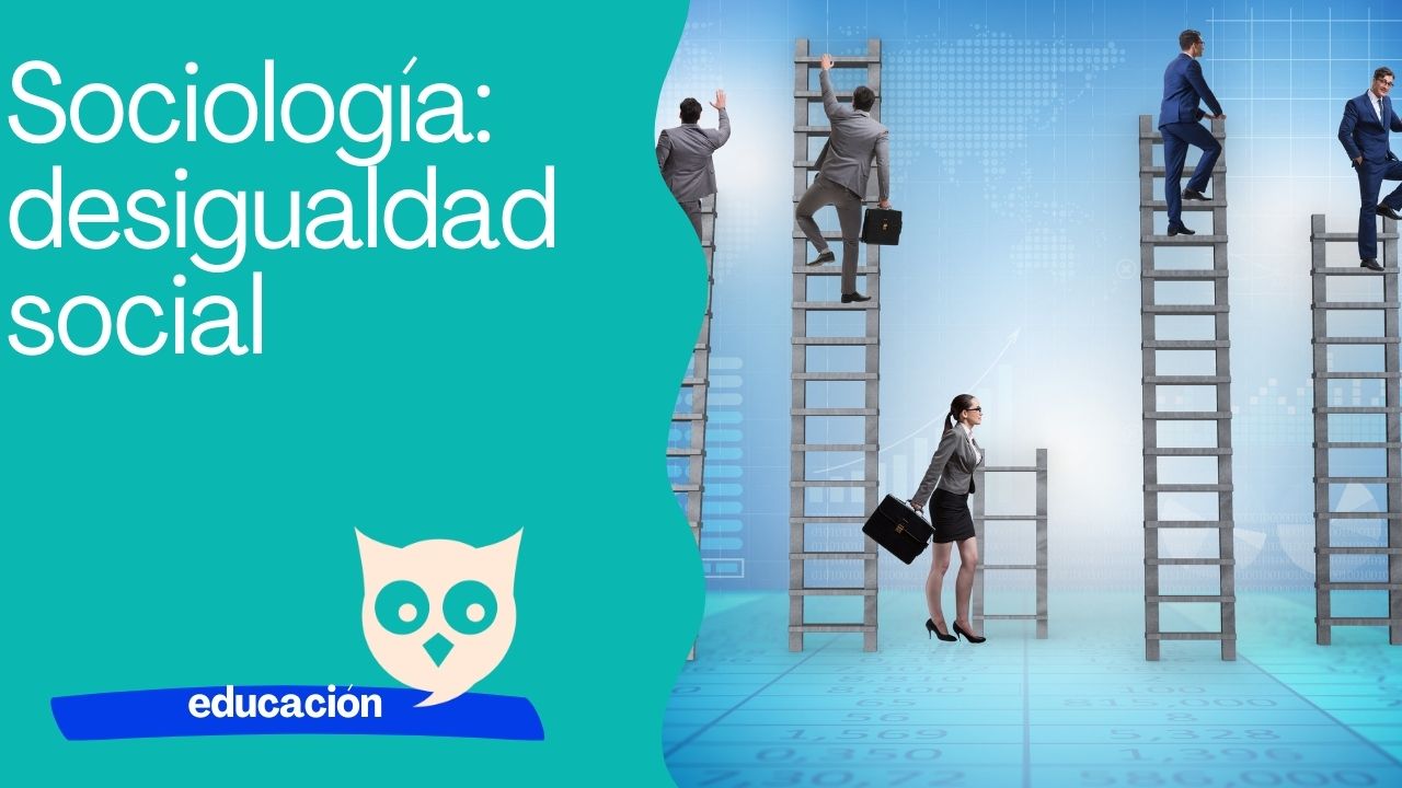 Sociología desigualdad social