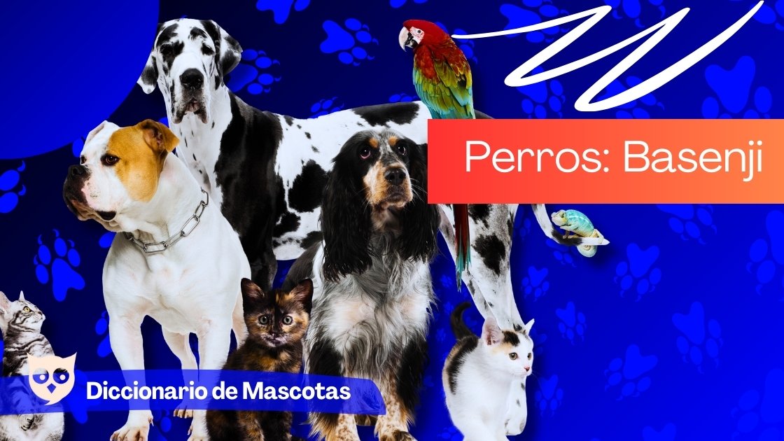 Perros Basenji