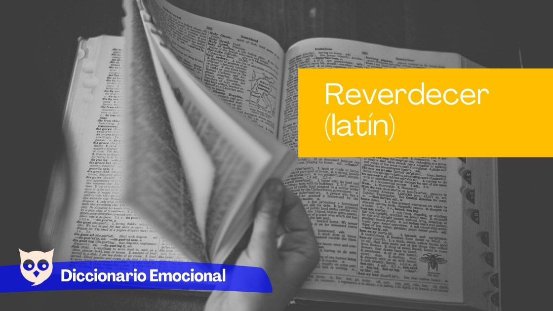 Reverdecer (latín)