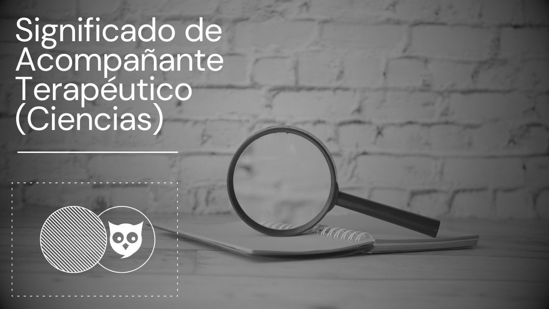 Acompañante Terapéutico