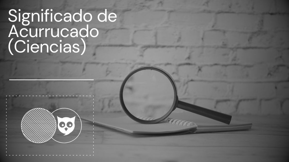 Significado de Acurrucado (Ciencias)