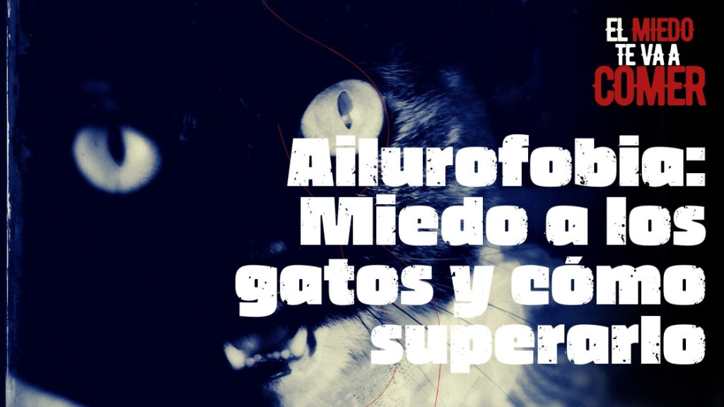 Ailurofobia: Miedo a los gatos y cómo superarlo