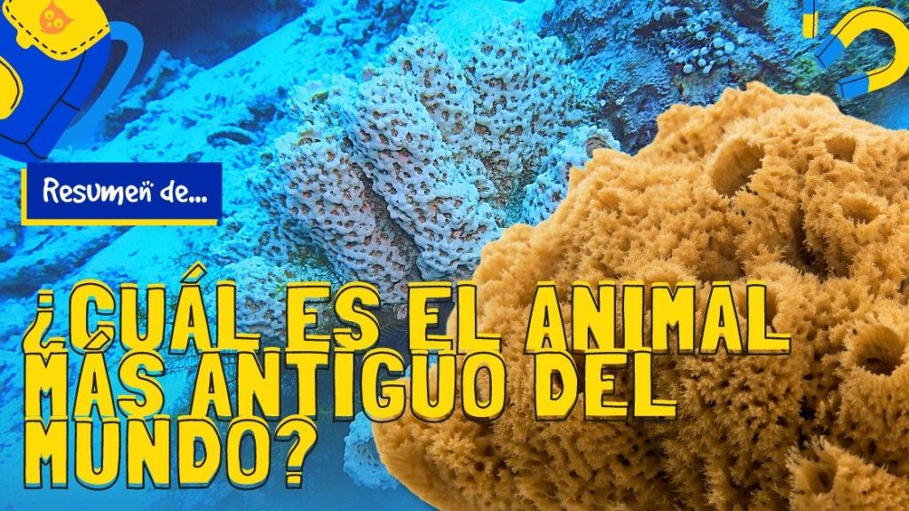 ¿Cuál es el animal más antiguo del mundo?