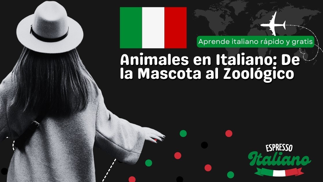 Animales en Italiano De la Mascota al Zoológico