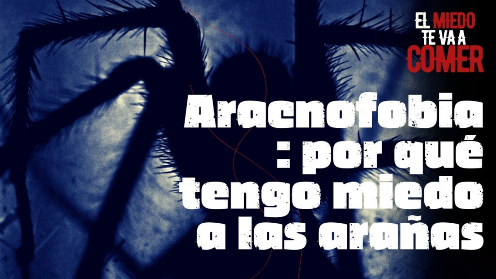 Aracnofobia por qué tengo miedo a las arañas