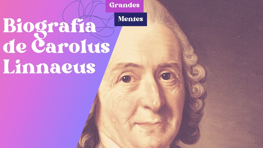 Biografía de Carolus linnaeus