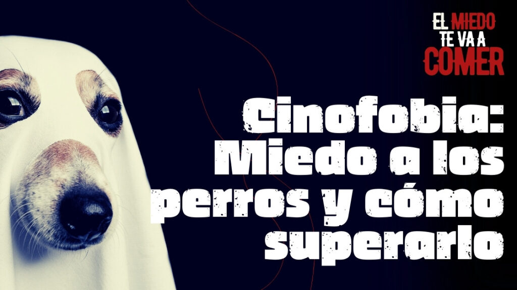 Cinofobia miedo a los perros y cómo superarlo