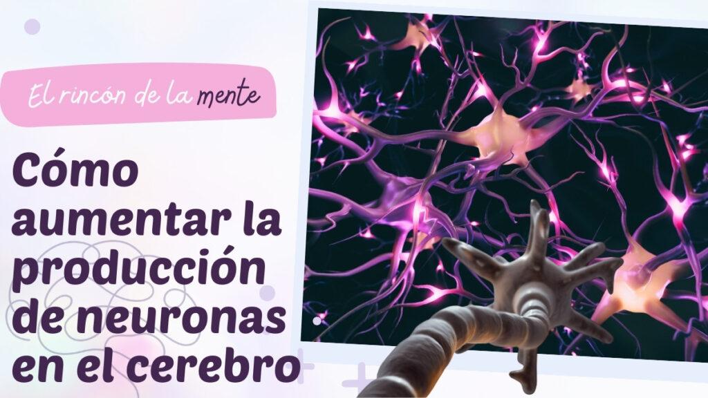 Cómo aumentar la producción de neuronas en el cerebro