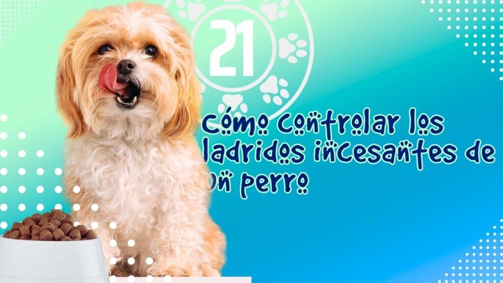 Cómo controlar los ladridos incesantes de un perro