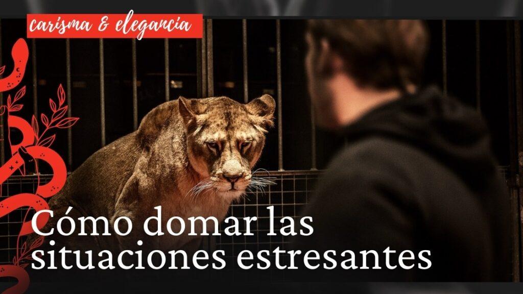 Cómo domar las situaciones estresantes