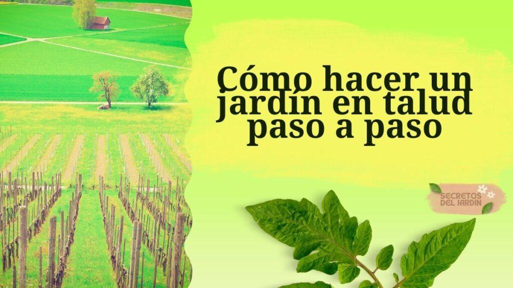 Cómo hacer un jardín en talud paso a paso