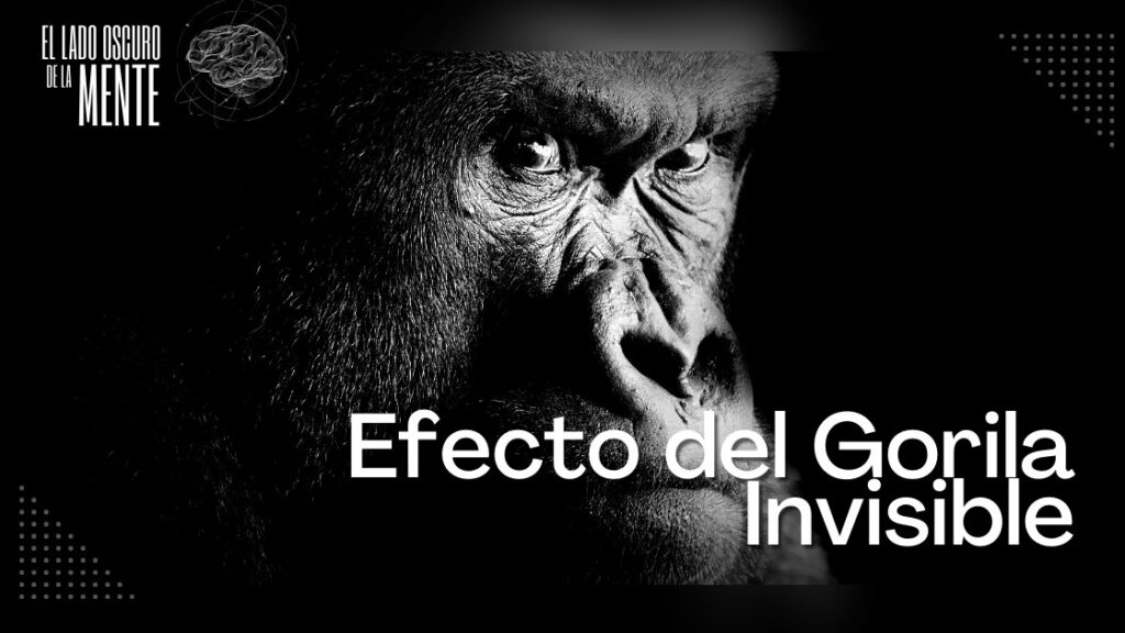 Efecto del Gorila Invisible