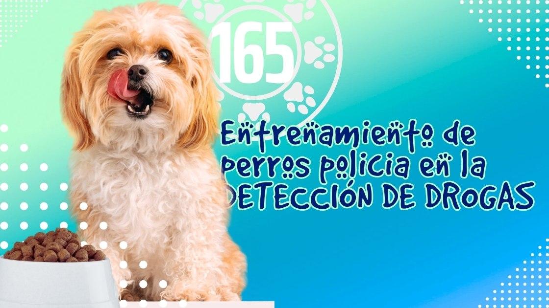 Entrenamiento de perros policia en la DETECCIÓN DE DROGAS