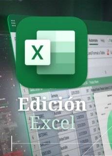 Edición en Microsoft Excel