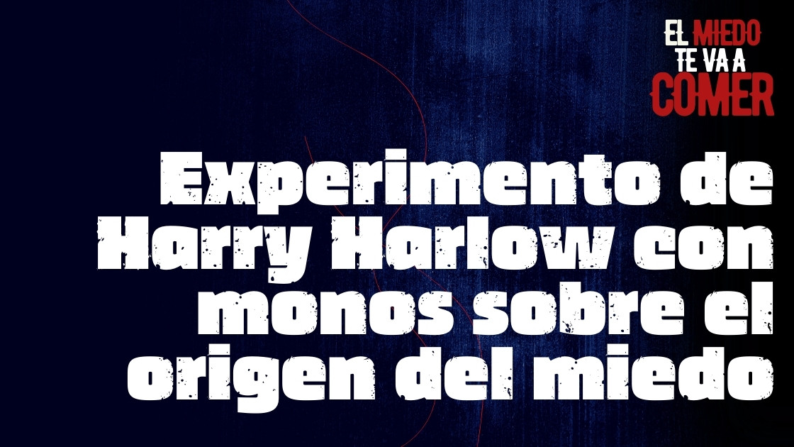 Experimento de Harry Harlow