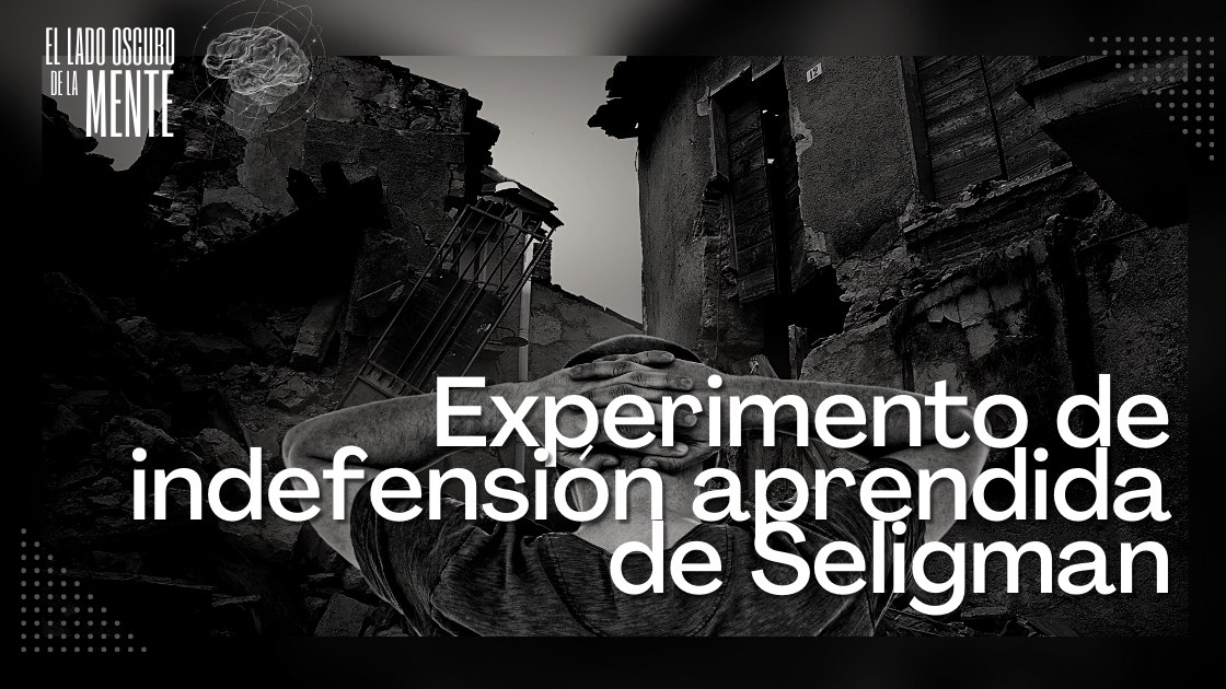 🌘Experimento De Indefensión Aprendida De Seligman — Academia Gratuita