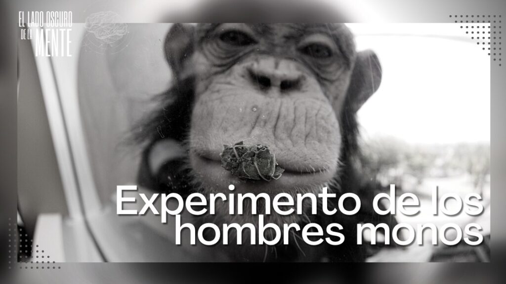 Experimento de los hombres monos