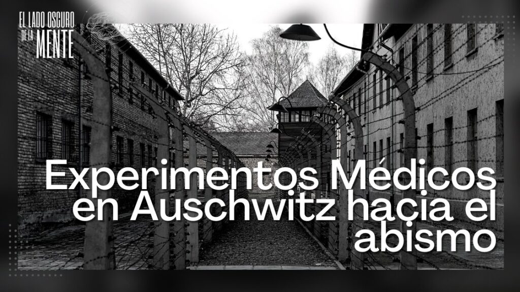 Experimentos Médicos en Auschwitz hacia el abismo