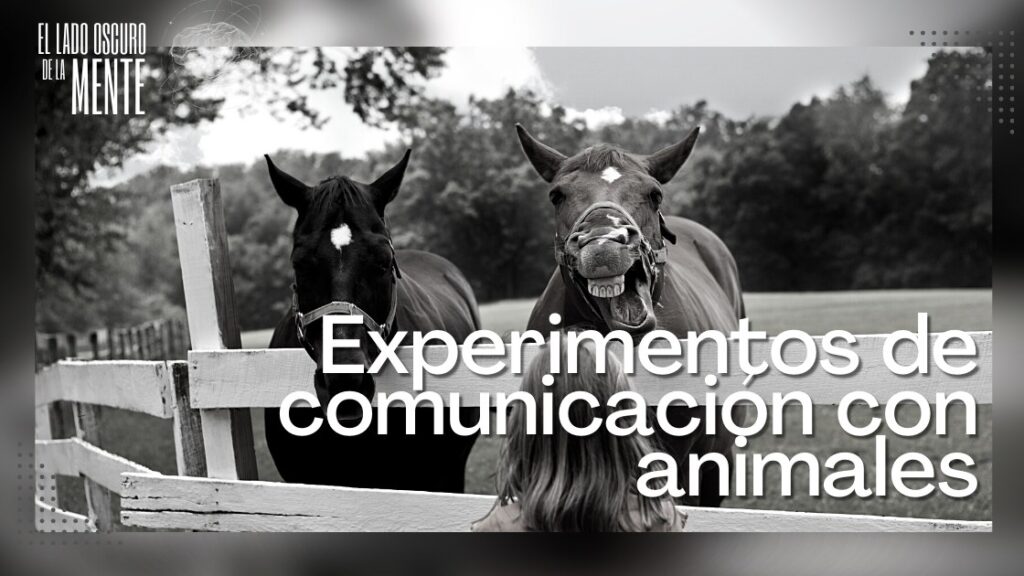 Experimentos de comunicación con animales