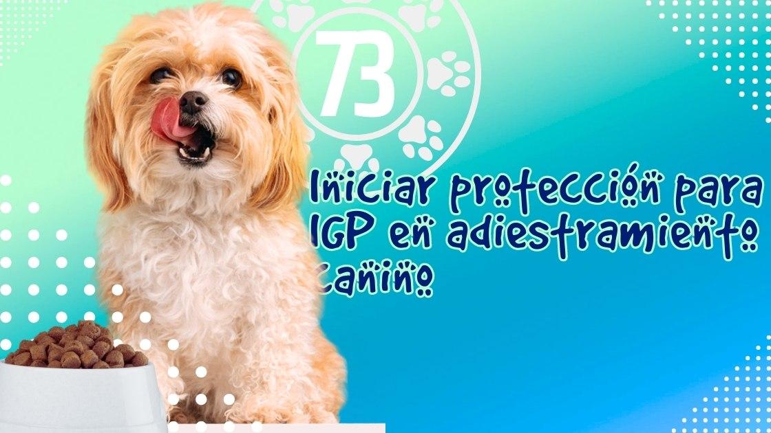 Iniciar protección para IGP en adiestramiento canino