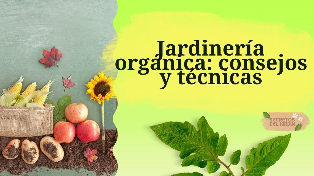 Jardinería orgánica: consejos y técnicas