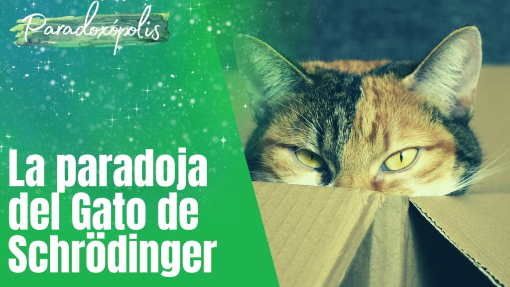 La paradoja del Gato de Schrödinger