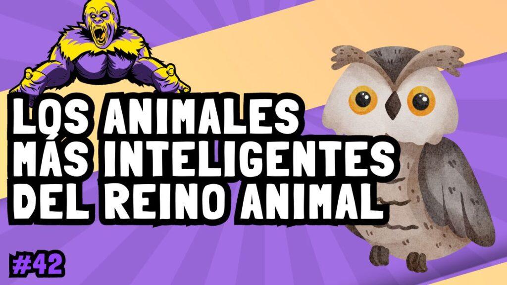 Los animales mas inteligentes del reino animal