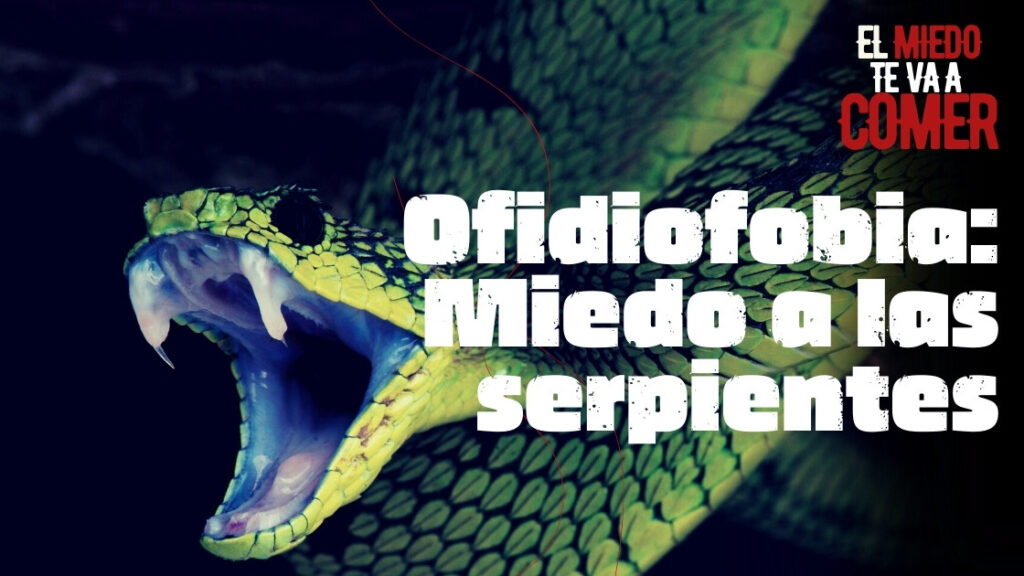 Ofidiofobia