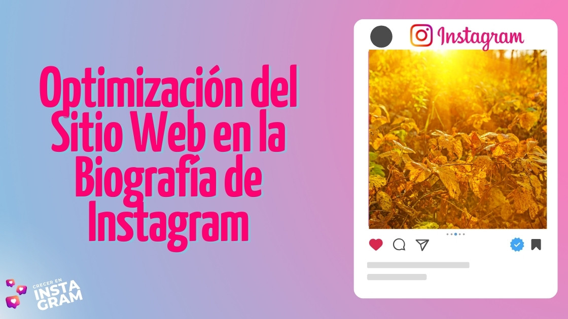 Optimización del Sitio Web en la Biografía de Instagram