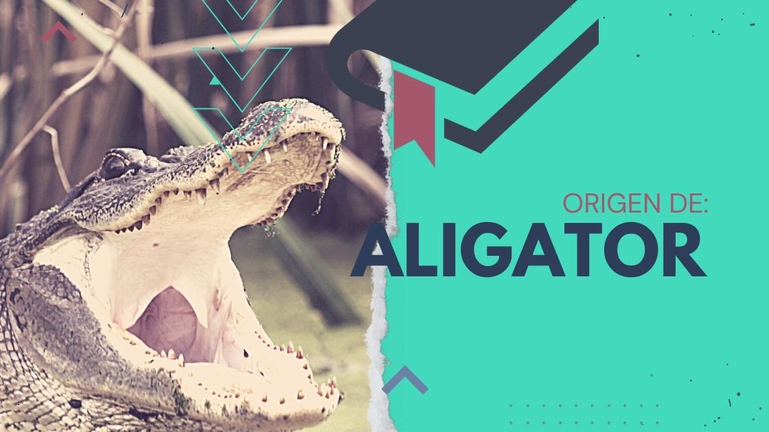 Aligator