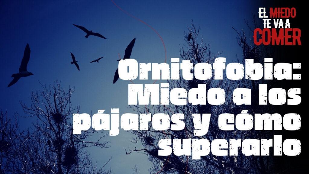 Ornitofobia: Miedo a los pájaros y cómo superarlo