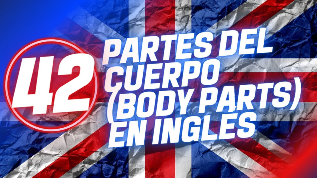 Partes-del-cuerpo-Body-parts-en-ingles