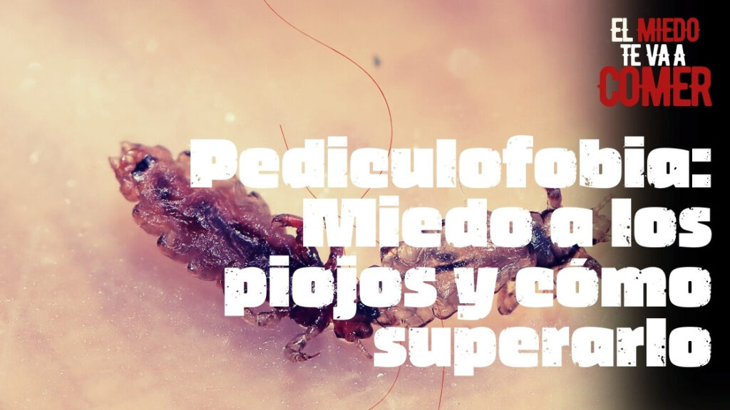 Pediculofobia Miedo a los piojos y cómo superarlo