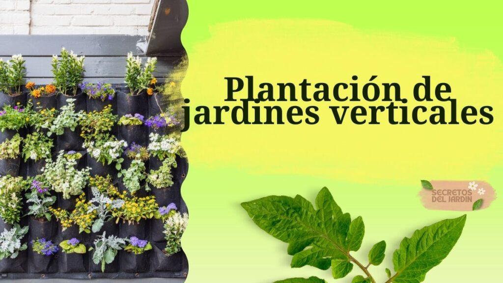 Plantación de jardines verticales