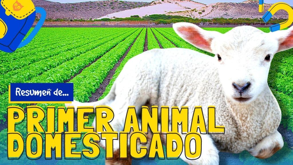 Primer animal domesticado