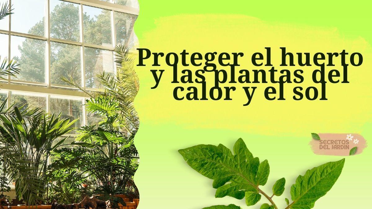 Proteger el huerto y las plantas del calor y el sol