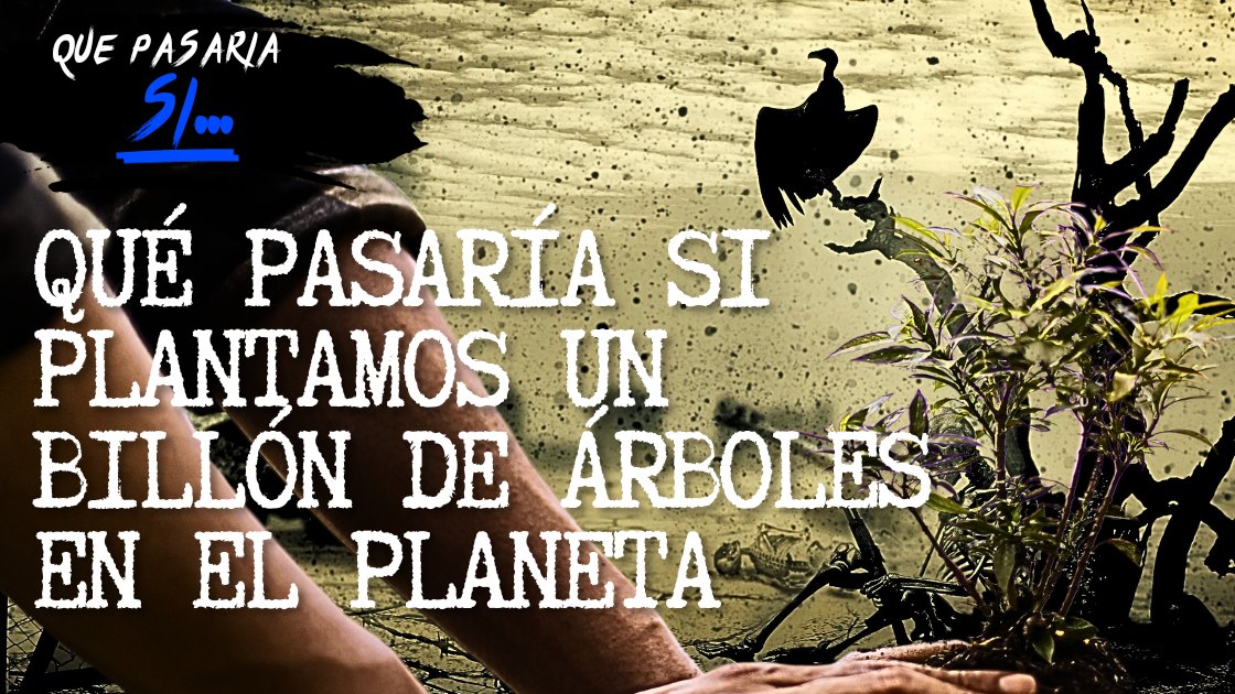 Qué pasaría si plantamos un billón de árboles en el planeta