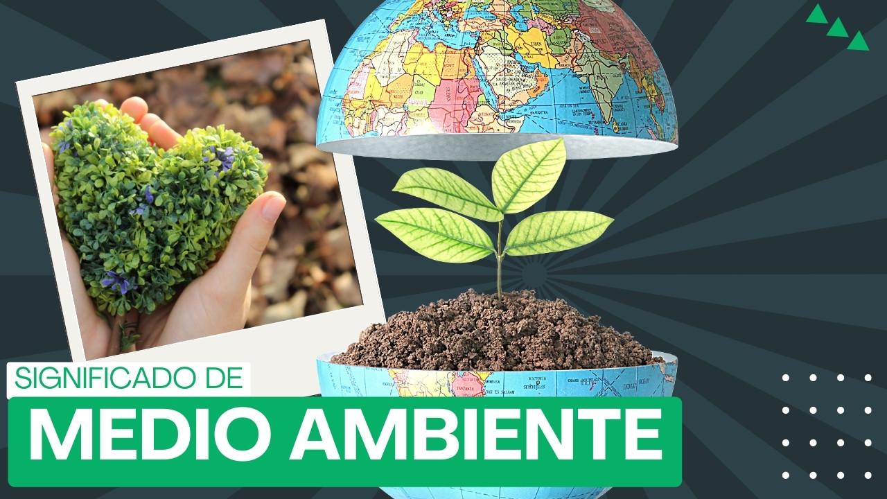 Significado medio ambiente