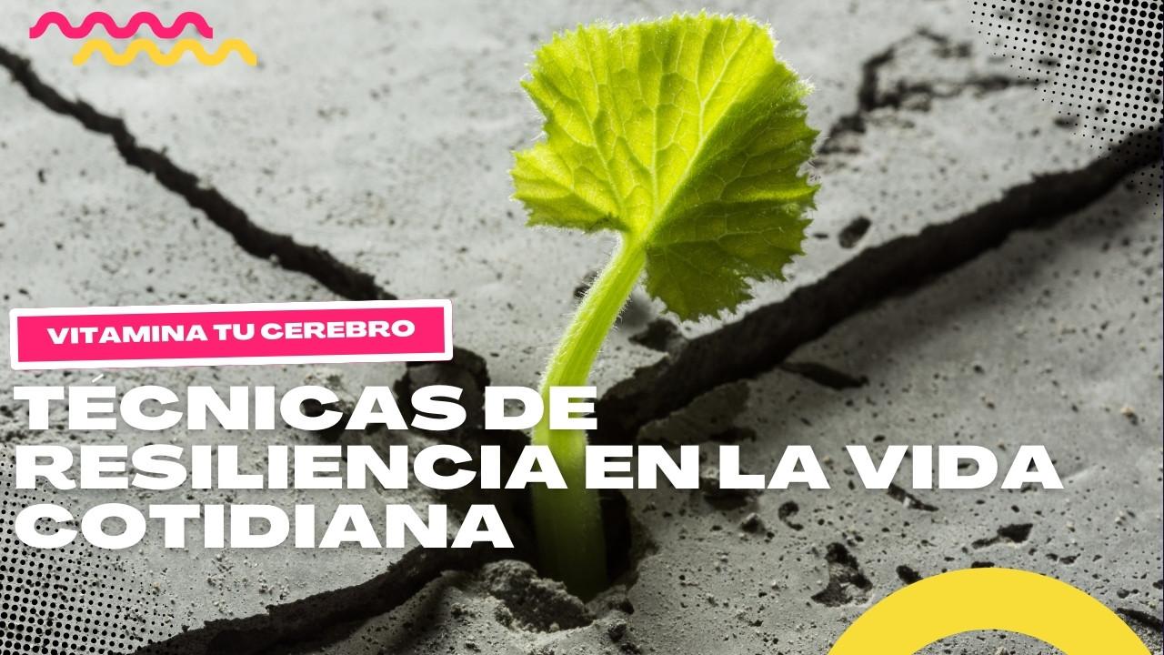 Técnicas de resiliencia en la vida cotidiana