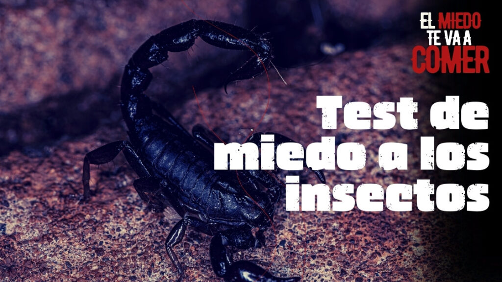 Test de miedo a los insectos