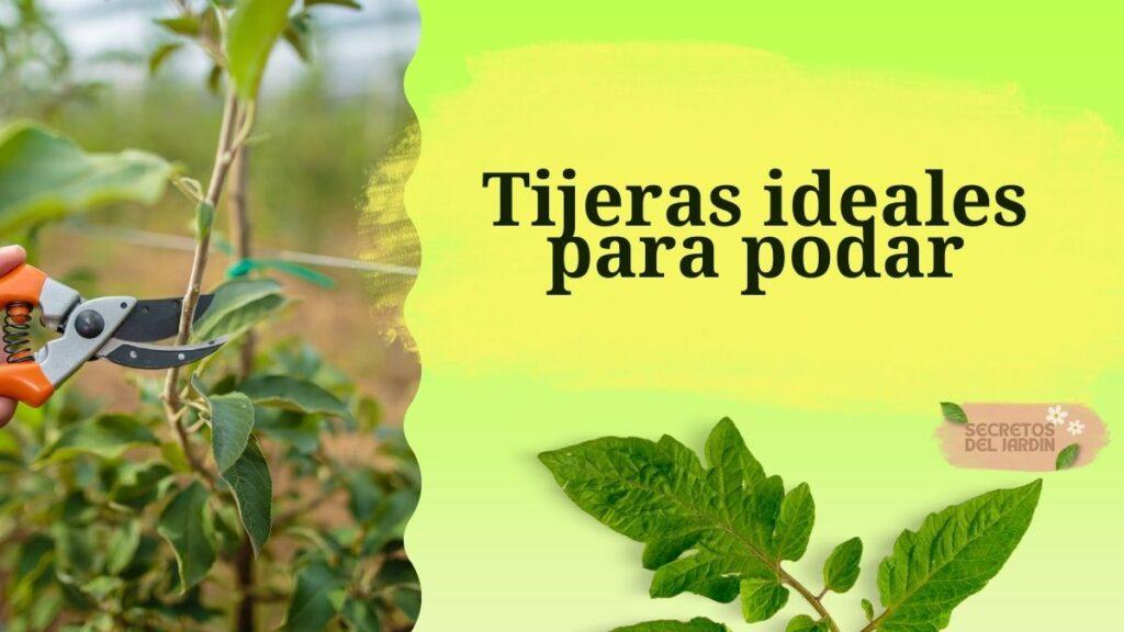 Tijeras ideales para podar